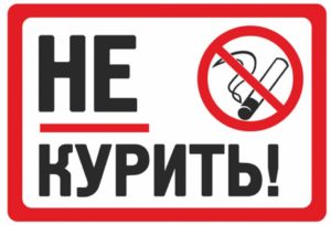 Правила підготовки до УЗД діагностиці нирок