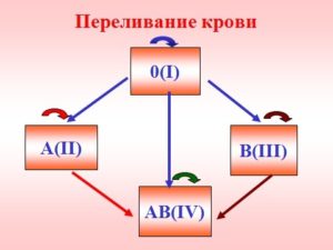 Яка найрідкісніша група крові в світі?