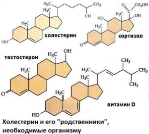 Причини, симптоми, лікування і профілактика підвищеного холестерину