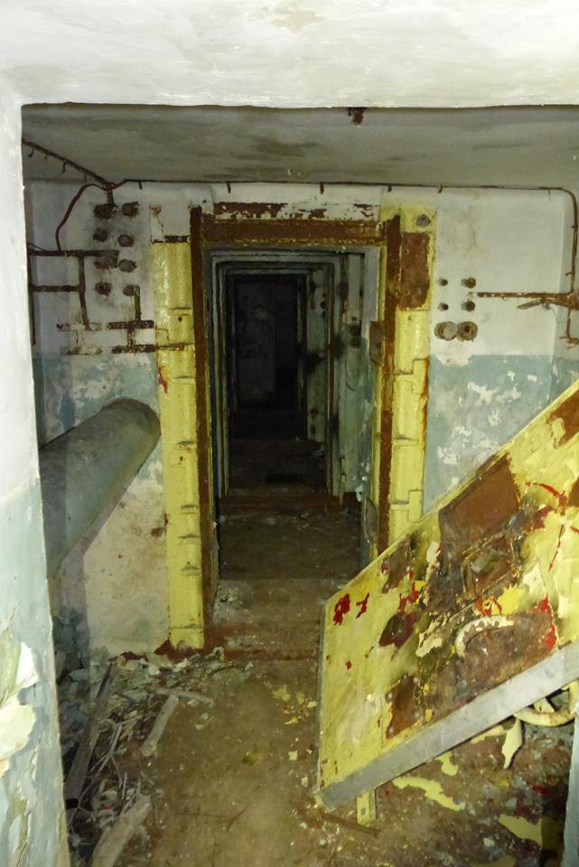Діти гуляли в лісі і побачили труби. Те, що було всередині, очі полізли на лоб