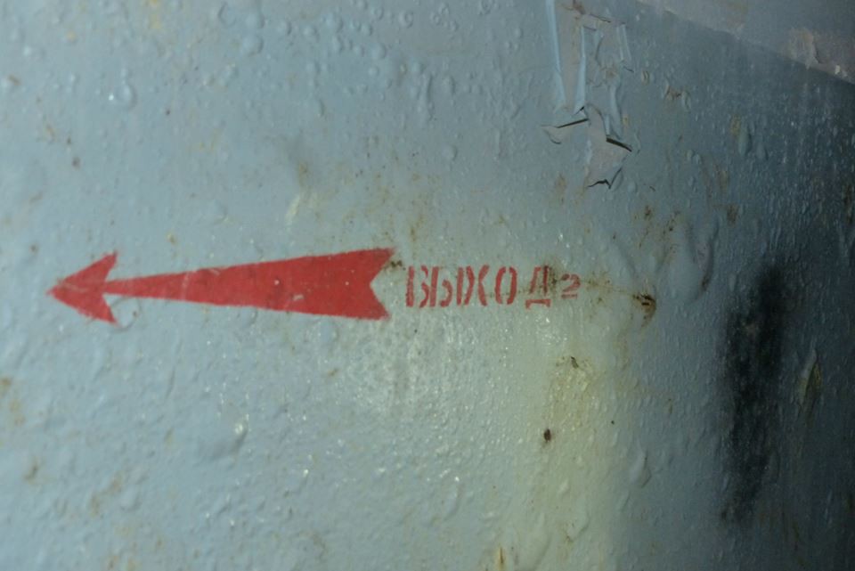 Діти гуляли в лісі і побачили труби. Те, що було всередині, очі полізли на лоб