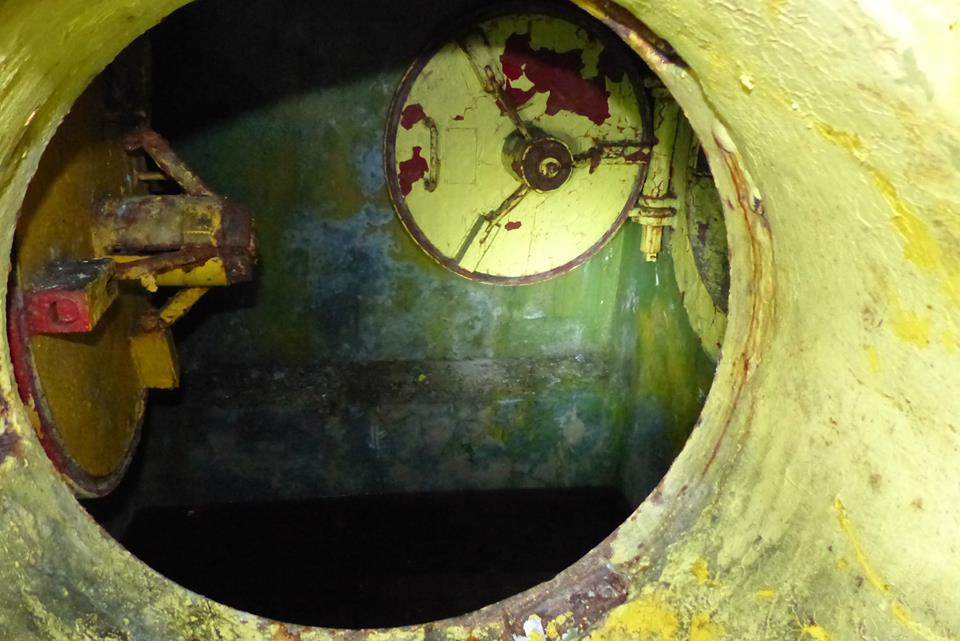 Діти гуляли в лісі і побачили труби. Те, що було всередині, очі полізли на лоб