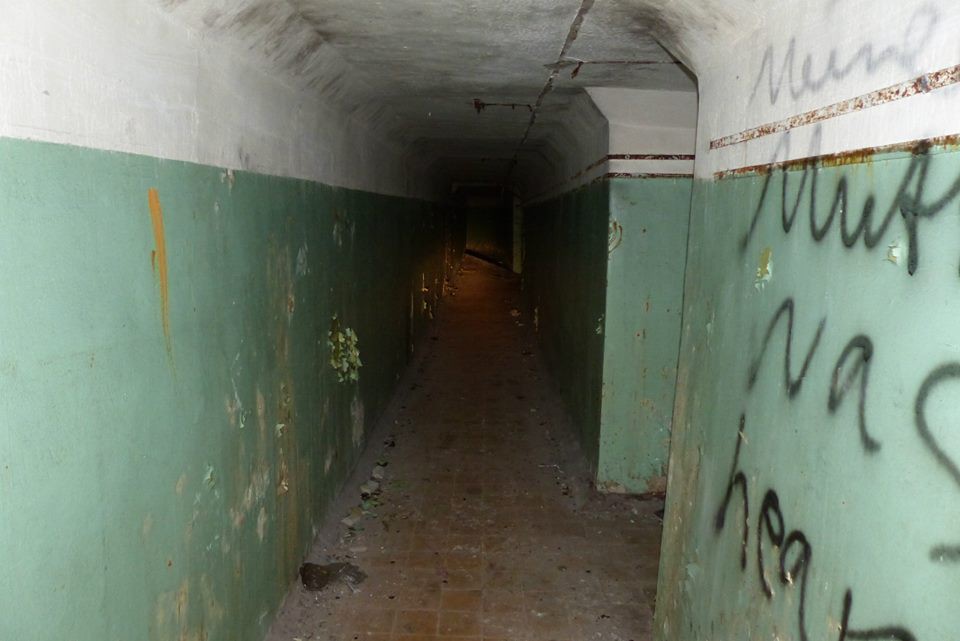 Діти гуляли в лісі і побачили труби. Те, що було всередині, очі полізли на лоб