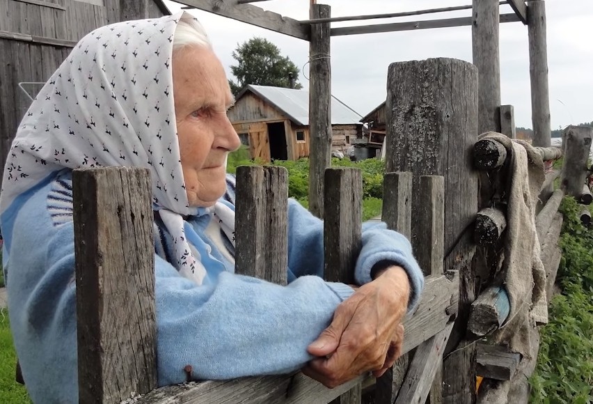 Батьки плакали, коли дізналіся, як Їм віддячіла Врятована на лісовій дорозі лисиця...